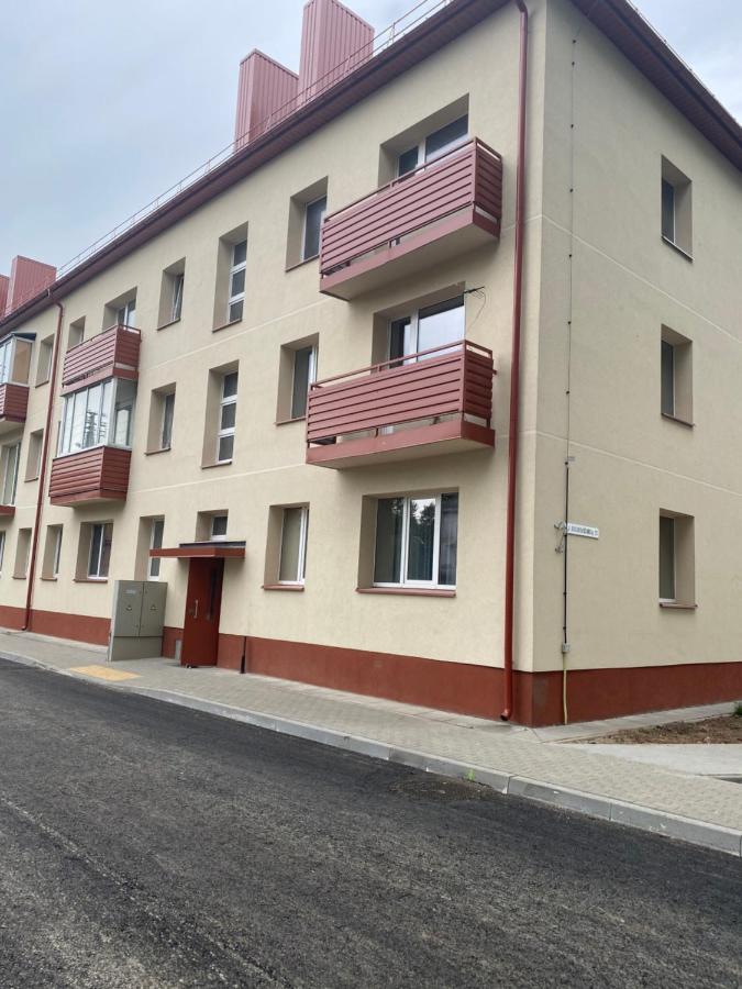 Studio Flat In Kėdainiai Buitenkant foto